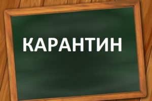 Карантин — не каникулы